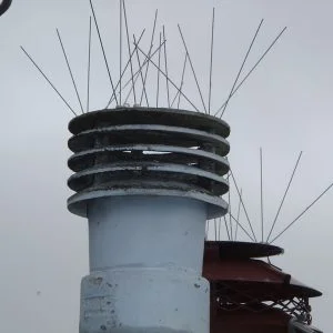 Enviroguard Seagull Spikes Per Metre